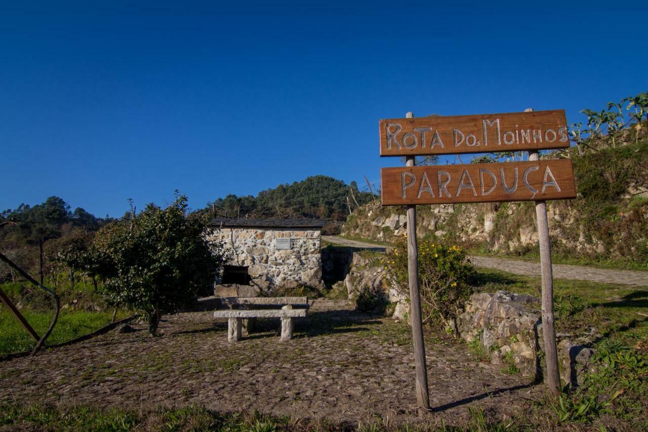 Cabanelas Country House - Casa Do Afonso Vale de Cambra Bagian luar foto